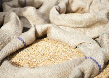 Medienberichte: China wird keine Getreidevorräte freigeben, um Westen entgegenzukommen