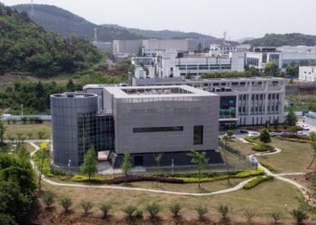 Das Wuhan-Labor darf im Rahmen seiner Partnerschaft mit dem US National Lab „geheime Dateien“ zerstören, wie die Vereinbarung zeigt