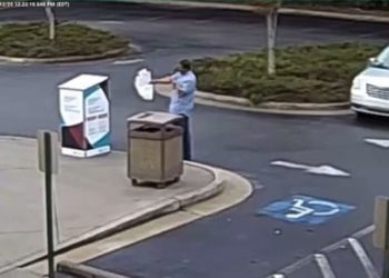 EINE GESTOHLENE WAHL: Staatssummen abzüglich illegaler Stimmzettelhandelszahlen geben Präsident Trump einen entscheidenden Sieg in AZ, GA, MI, PA und WI