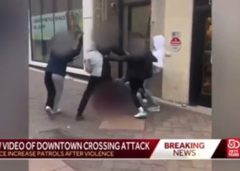 19-jährige weiße Frau brutal von Rudel schwarzer Teenager wegen „schwarzer Frisur“ geschlagen (VIDEO)