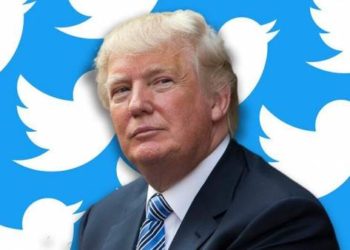 Breaking: Präsident Trump wird trotz Elon Musk-Übernahme nicht zu Twitter zurückkehren