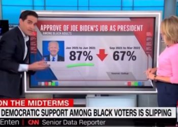 Demokraten säubern schwarze Wähler – Biden hat seit der Amtseinführung 20 Punkte mit Schwarzen verloren (VIDEO)