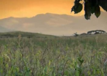 Documentary On The World Economic Forum