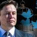 Elon Musk behauptet, Bidens „Desinformation Governance Board“ sei „beunruhigend“