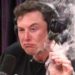 Elon Musk trollt AOC, nachdem sie sich über „einen Milliardär mit einem Ego-Problem“ beschwert hat, der eine riesige Kommunikationsplattform kontrolliert