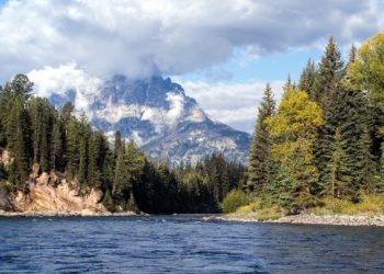 GREAT RESET IN SLOW MOTION