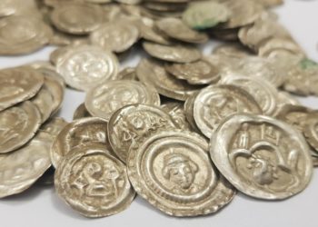 Hund entdeckt den größten polnischen Münzfund der letzten 100 Jahre