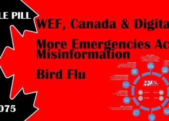 Maple Pill Ep 075 – WEF and Canada Digital ID, + Emergencies Act Misinformation