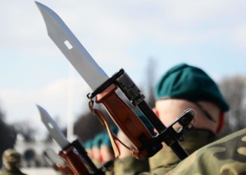 Militärische Geschichtsrevision – Meldungen über Polens "Friedenstruppen"-Pläne zur Westukraine