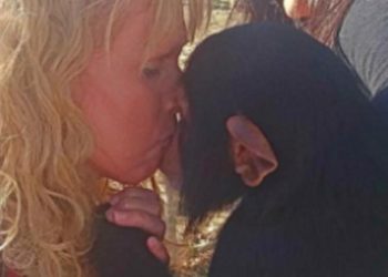 PETA startet eine umfassende Belästigungskampagne gegen eine Frau aus Missouri, die sich ihnen widersetzt hat