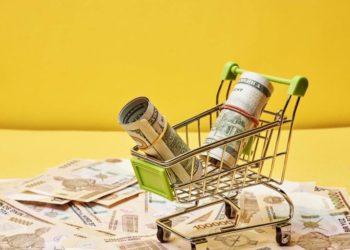 Russland ruft Handelspartner zum Verzicht auf US-Dollar und Euro auf