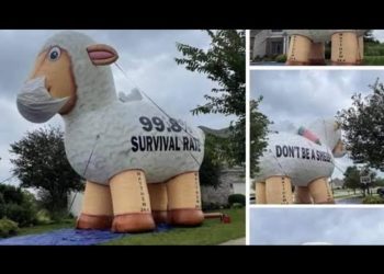 Semantics is Important: Say what you mean, & mean what you say