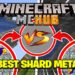 THE BEST RESET SHARD META!?!?| Minecraft Skyblock (MCHub Skyblocky Sun)