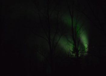 The Other News You'll Never Hear On TV 04-26-2022