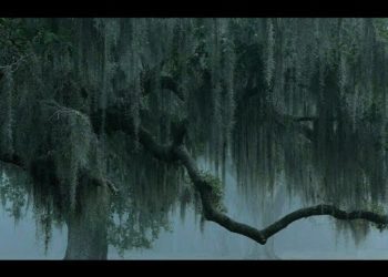 Tirage. Klaus Schwab ???????????? dit Claude Schweppes ! ☺️???????? Il a du peps ! ????????????