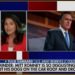 Tulsi Gabbard ergreift rechtliche Schritte gegen Mitt Romney und Keith Olbermann