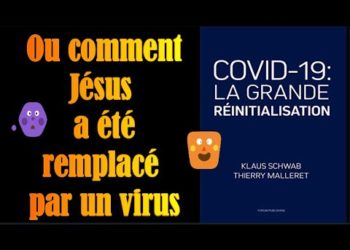 "Covid 19, la grande réinitialisation" Klaus Schwab et Thierry Malleret, 2020