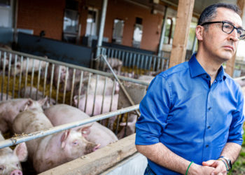 "Um globale Hungerkatastrophe abzuwenden" – Özdemir fordert weitere Waffenlieferungen an Ukraine