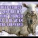 zodiac signs,The Great Reset, Ancient Egypt: Civilization, Empire & Culture