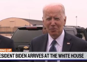 „Ich habe letzte Nacht versucht, mit ihm zu sprechen, wir haben mit seinen Mitarbeitern gesprochen“ – der französische Präsident Emmanuel Macron brüskiert Biden nach dem Wahlsieg (VIDEO)