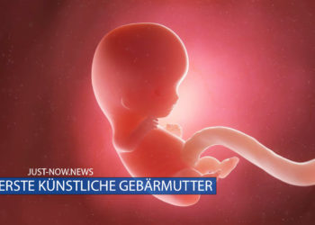 EXKLUSIV: China entwickelt Technologie für Embryo Farm mit künstlicher Gebärmutter