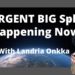 BUCKLE UP for the BIG Split Happening Now: Landria Onkka