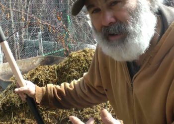 Black Walnut Aerobic Compost Experiment!