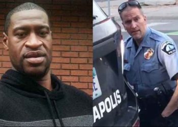 Der Richter, der den Bundesfall von Derek Chauvin überwacht, akzeptiert den Plädoyer-Deal des ehemaligen Polizeibeamten