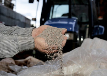 Europa – wie die ewig Satten auf eine selbst gemachte Hungerkrise zusteuern