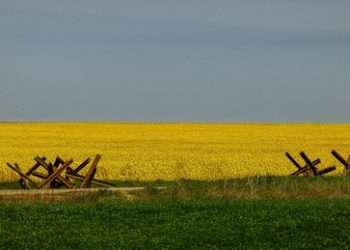 Russlands US-Botschafter: Globale Lebensmittelkrise Folge der Inkompetenz des Westens