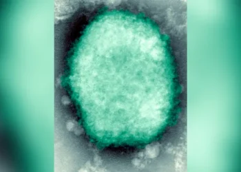 Frisch eingetroffen: Gesundheitsbeamte bestätigen den ersten Fall von Affenpocken in den USA in Massachusetts