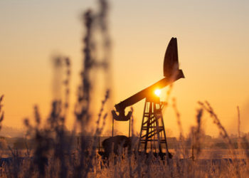 Medienberichte: Indien will veräußerte westliche Vermögenswerte in Russland aufkaufen