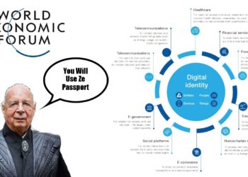 Klaus Schwab The World Economic Forum RFID Chip Vaccine Passports Will Be A Form Of Digital Identity