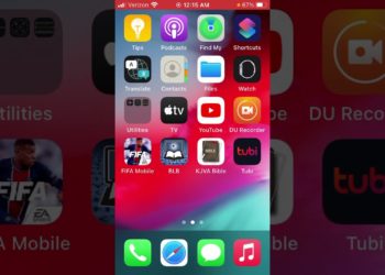 Klaus Schwab is another agent of the elite. “The Great Reset” is code-word for the “New World Order”