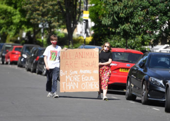 Medienbericht: EU plant Enteignungen von Russen, auch wenn keine Straftat vorliegt