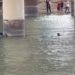 SCHOCKVIDEO: Illegaler Außerirdischer ertrinkt beim Versuch, über den Rio Grande River in den Eagle Pass, Texas zu schwimmen