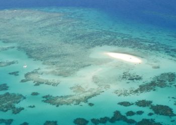 Schwere Schäden am Great Barrier Reef – Extreme Hitzewelle verursacht Massenbleiche