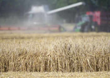 Ukraine: Waffen, Weizen und ein Fleischwolf