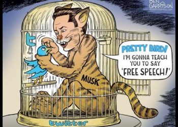 What is Elon Musk really up to?