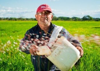 Willkommen in Russlands Familie – Aufbauprogramm für befreite Gebiete der Südukraine angekündigt