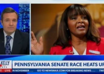 „Die Traumkandidatin der Demokraten für die Republikanische Partei“ – Greg Kelly EVISCERATES mysteriöse GOP-Kandidatin Kathy Barnette (VIDEO)