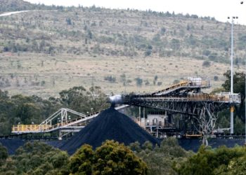 Staatsschatzmeister befürchten eine drohende Blase und stellen sich der „unsichtbaren Faust“ von ESG