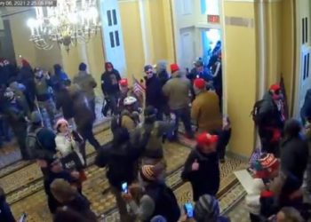 RÜCKBLICK: NIE VERGESSEN – FBI zugelassen, Agenten in der Menschenmenge im US-Kapitol zu führen – ES WAR EIN SETUP (VIDEO)