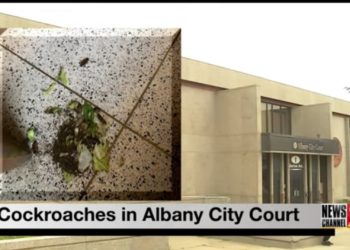 „Wegen Begasung geschlossen“: Mitbegründer des BLM-Kapitels verhaftet, nachdem Hunderte von Kakerlaken im New Yorker Gerichtsgebäude freigelassen wurden