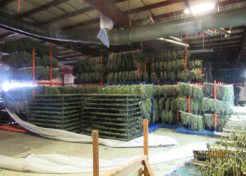 Behörden zerschlagen große Drogenoperation in Oregon und finden Verbindungen nach China