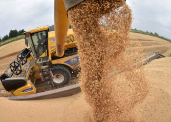 Chinas Diebstahl von technischen Geheimnissen der US-Landwirtschaft ist eine „enorme“ nationale Sicherheitsbedrohung: Analyst