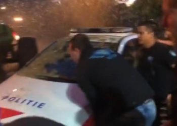 Bauernprotest, Aufruhr über Hollands Krieg gegen die Viehwirtschaft zum Schutz der Umwelt vor Stickstoffverschmutzung (VIDEO)