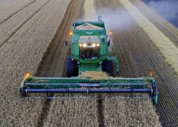 Erdoğan-Sprecher: Problem der Getreidelieferungen aus der Ukraine kann schnell gelöst werden