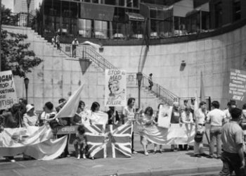 Malvinas – Falklandinseln: War es doch ein Krieg um Öl vor vierzig Jahren?