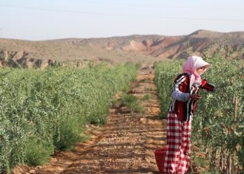Neue Bahnverbindung zwischen China und Iran in Betrieb genommen